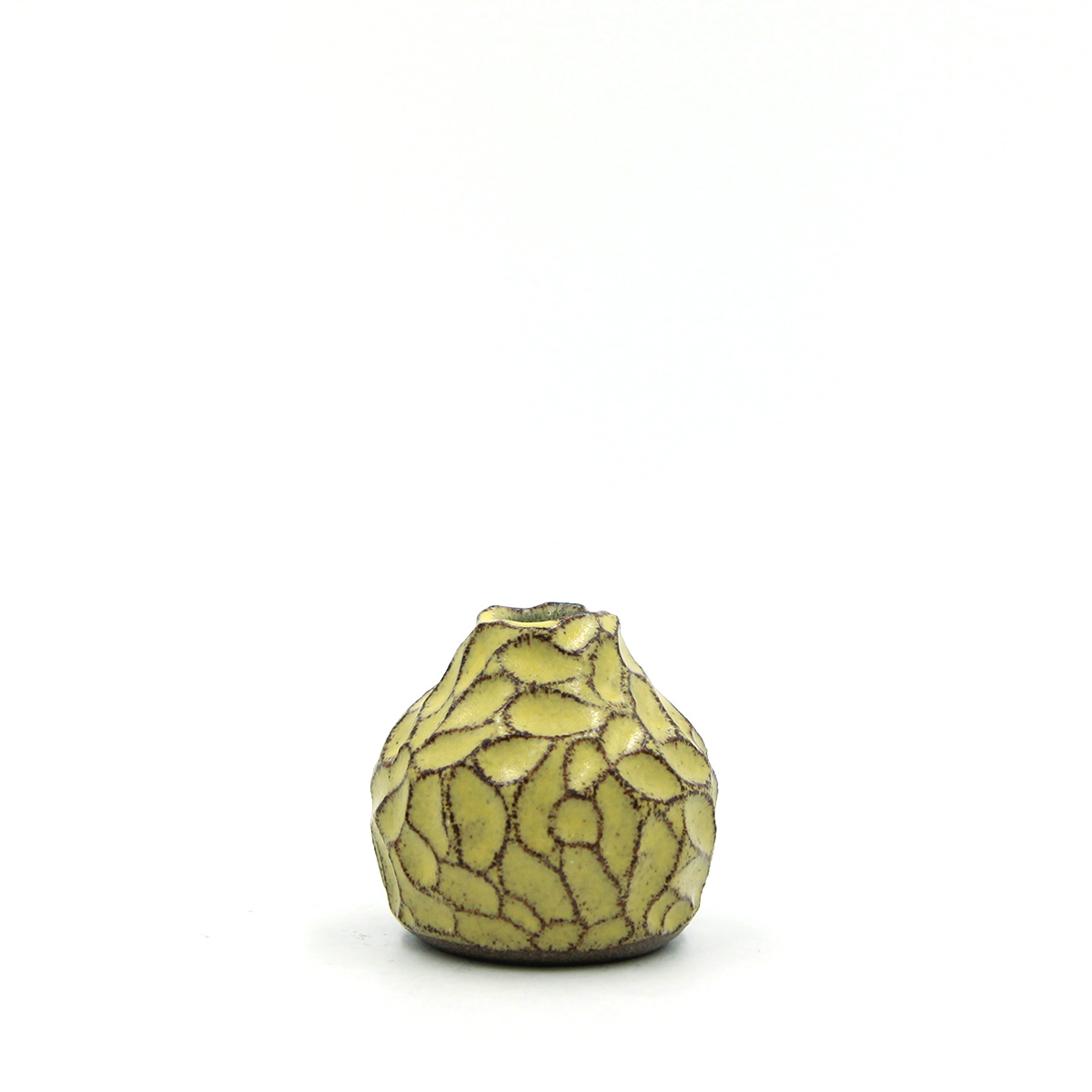 CAVA vase